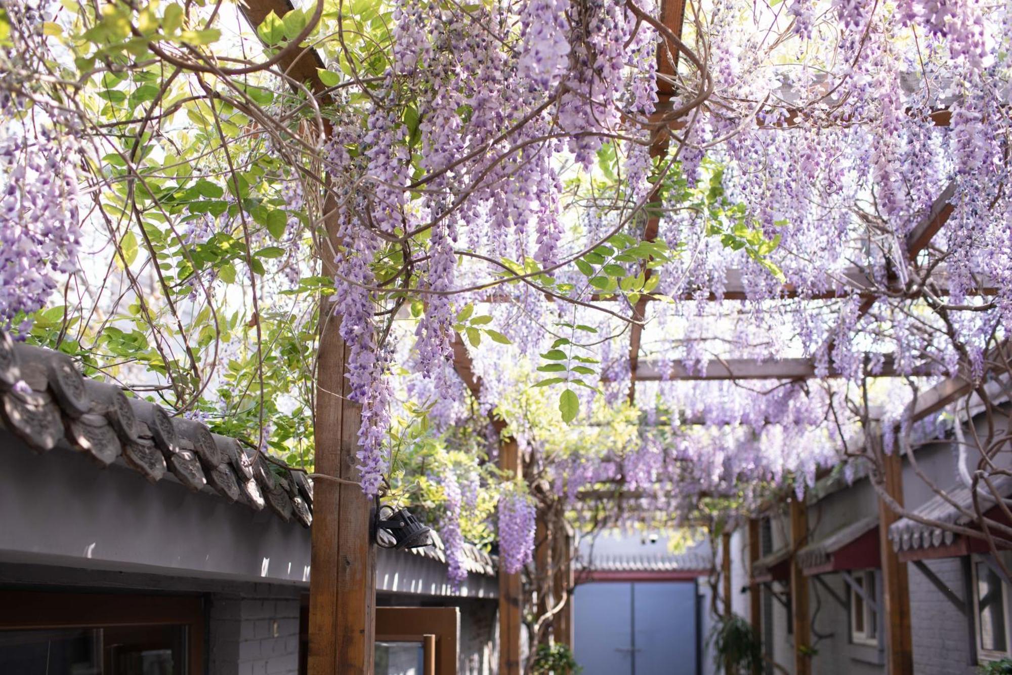 Guipu Beihai Courtyard Hotel Пекин Екстериор снимка
